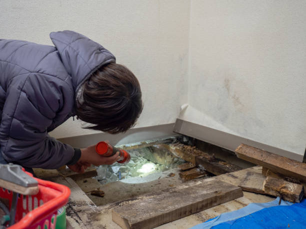 Best Air Quality Testing for Mold Spores  in Gnadenhutten, OH