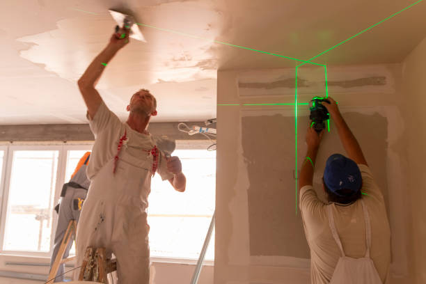 Professional Mold Removal in Gnadenhutten, OH