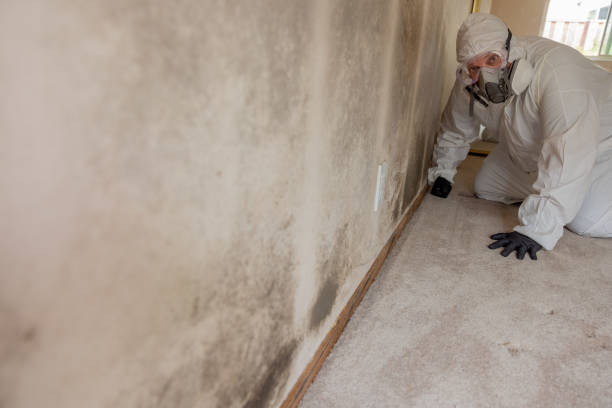Best Forensic Mold Investigation  in Gnadenhutten, OH